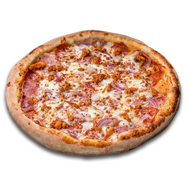 Carnivora